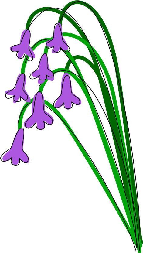 right facing violets